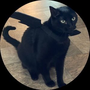 Meet your Posher, Josh